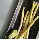 尚(sho) レクタンギュラープレート27cm