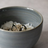 SPOT(スポット) ボール 450cc(ブルー)