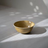 GENESIS ボール 16cm(ベージュ)