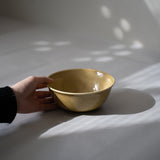 GENESIS ボール 16cm(ベージュ)