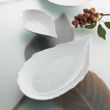 オウベピンヌ クープディッシュ【在庫終了】