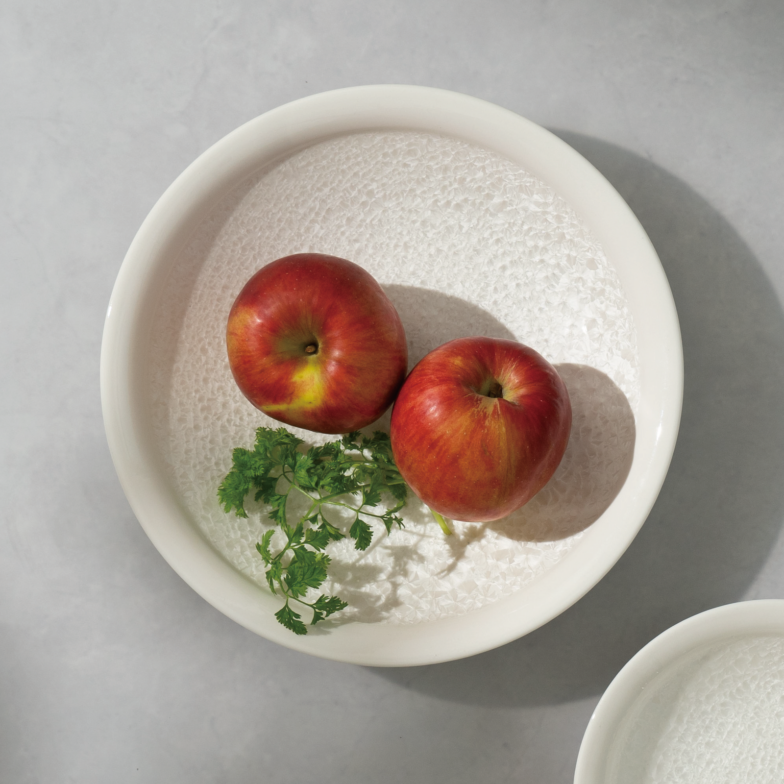 咲（saku） プレート24.5cm – 皿・プレート – 一流レストラン愛用