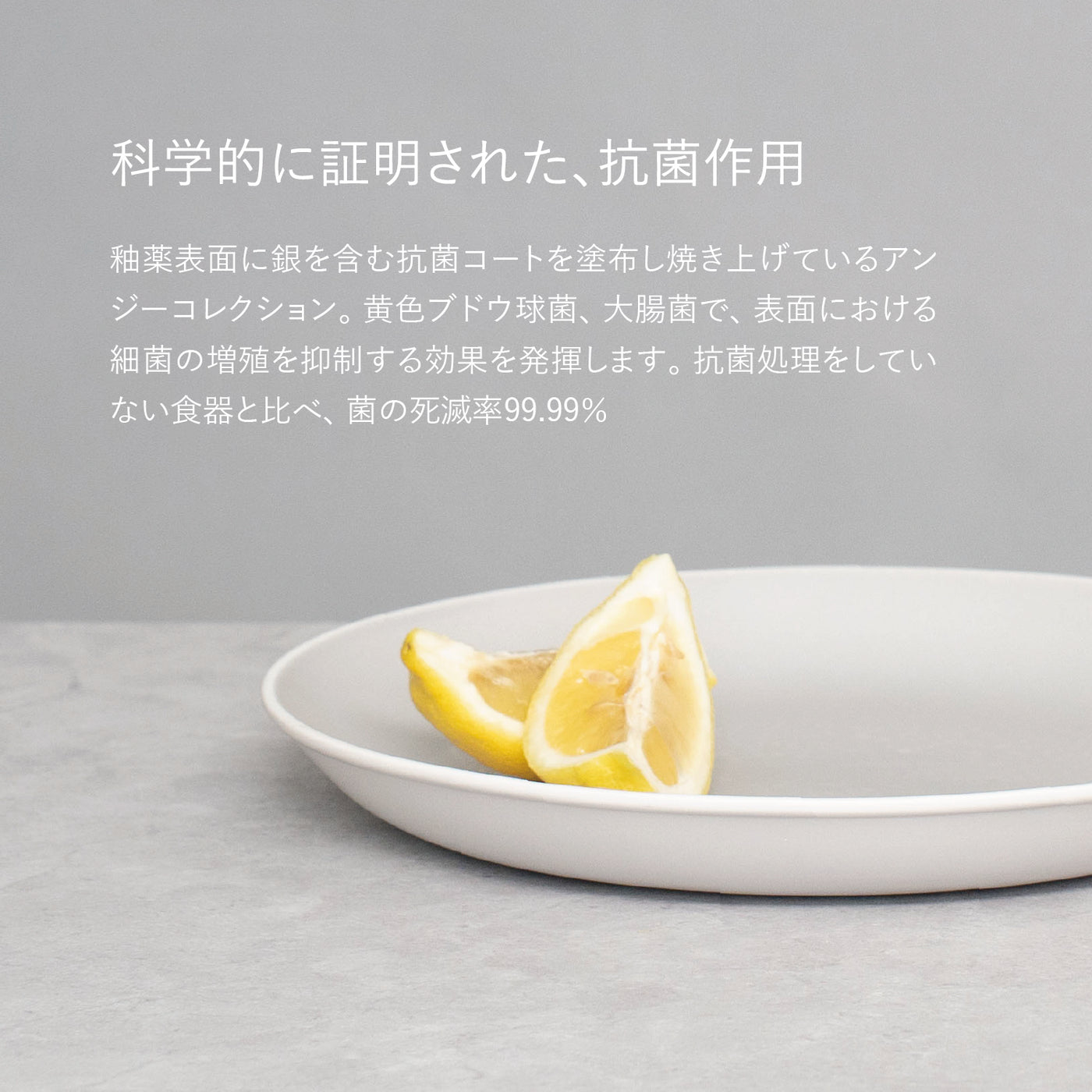 セラミック製浅皿 ライトグレー 5_737f3f6d-9b18-48bf-a5f4-